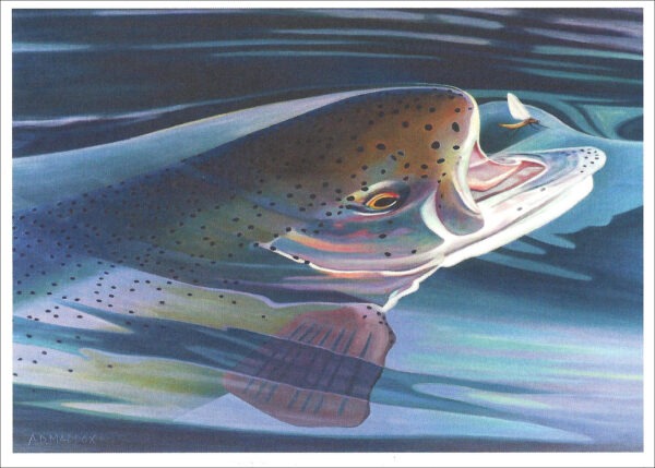 XN893 Rise Series #3- Rainbow Notecard