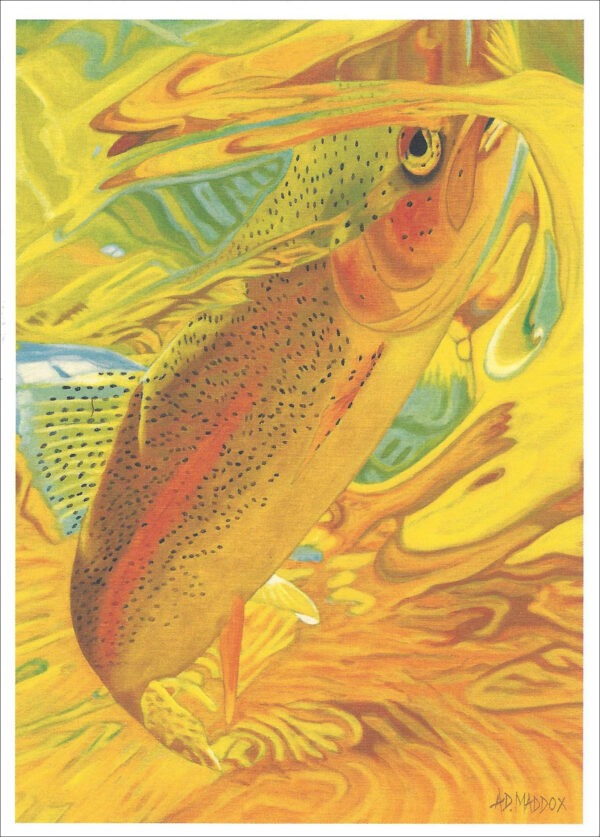 XN89 Golden Rainbow Trout Notecard
