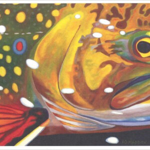 XN895 Cool Eyed Luke- Brookie Notecard