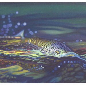 XN896 Not Over Yet- Trout Notecard