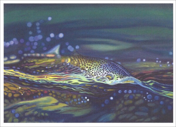 XN896 Not Over Yet- Trout Notecard