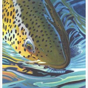 XN897 Rise Series #5-Trout Notecard