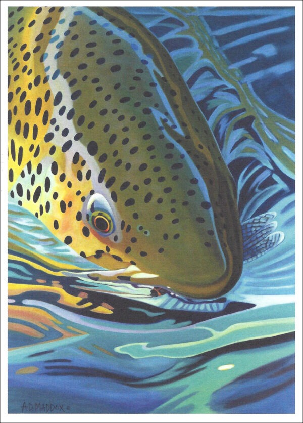 XN897 Rise Series #5-Trout Notecard
