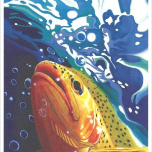 XN898 Rise Series #2 -Trout Notecard