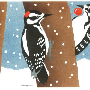HC156 Hairy Woodpeckers Holiday Card