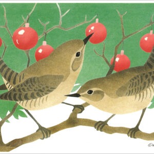 HC172 House Wren Cheer Holiday Card
