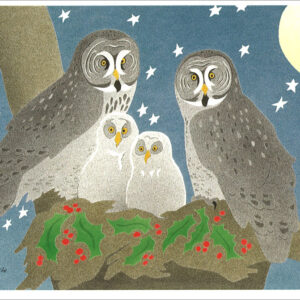 HC189 Great Gray Owls Holiday Card