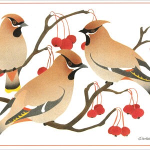 HC215 Bohemian Waxwings Holiday Card