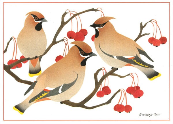 HC215 Bohemian Waxwings Holiday Card