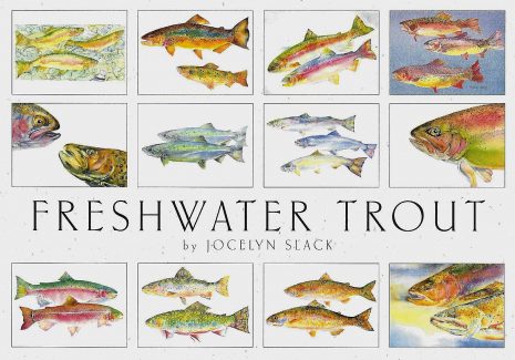Freshwater Trout Assortment Box
