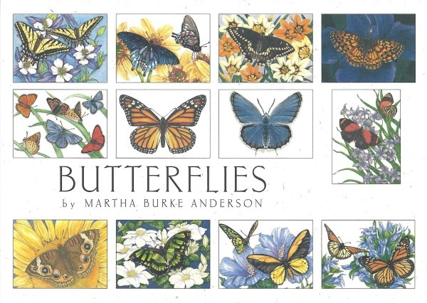 Butterflies assortment box