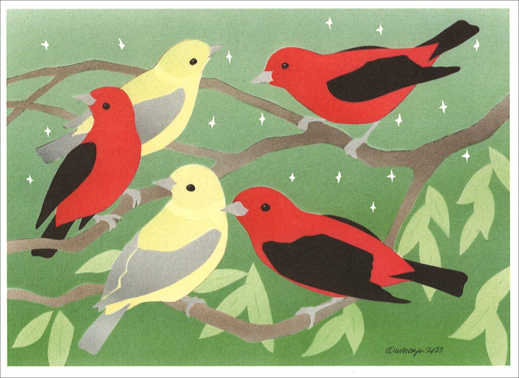 SCARLET TANAGERS