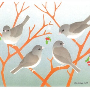 Dark-eyed Juncos Holiday Card