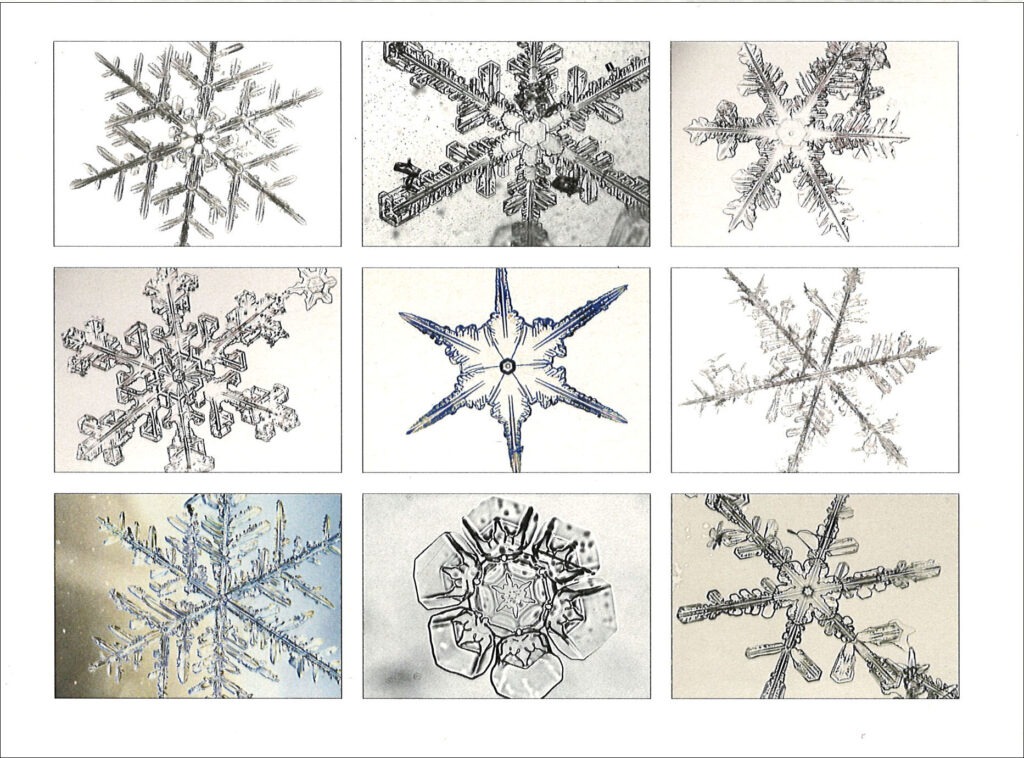 SNOWFLAKE SAMPLER