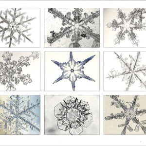 SNOWFLAKE SAMPLER