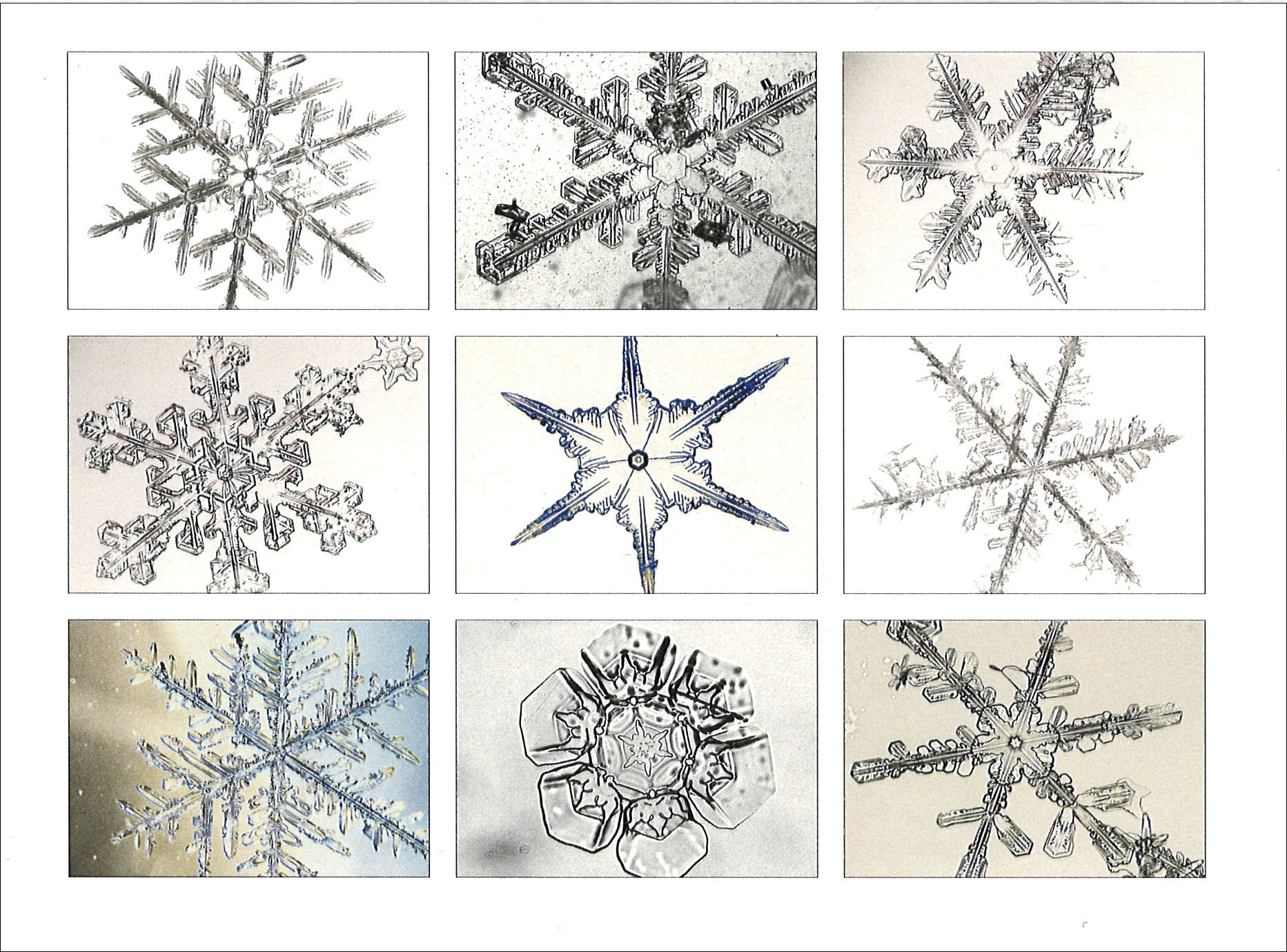 SNOWFLAKE SAMPLER