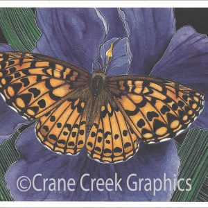 AN818 Atlantis Fritillary Notecard