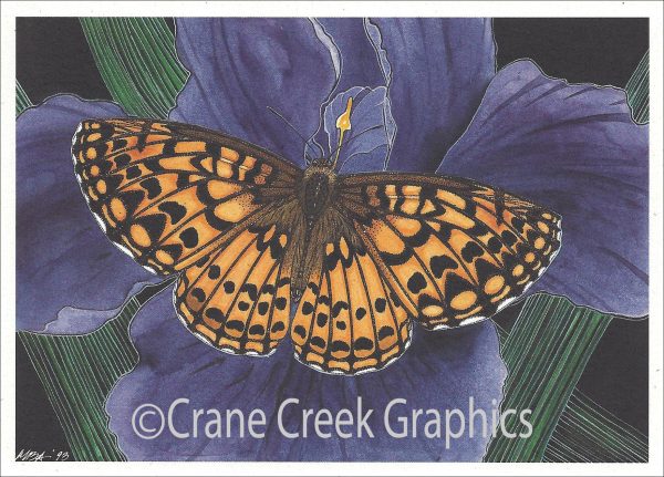 AN818 Atlantis Fritillary Notecard