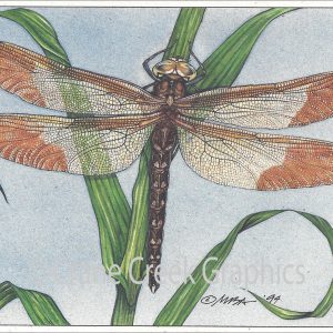 AN820 Dragonfly Notecard