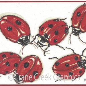 AN831 Ladybugs Notecard