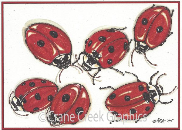 AN831 Ladybugs Notecard