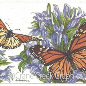 AN870 Monarch Butterfly Notecard