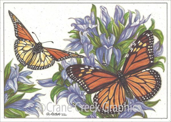 AN870 Monarch Butterfly Notecard