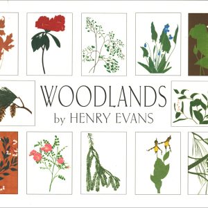 EBWL12 Woodlands by Henry Evans Assortment Box