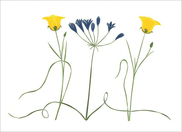 EN7015 Brodiaea and Calochortus Notecards