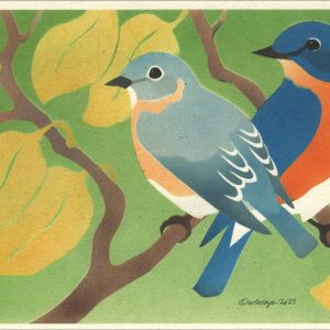 NC1025 Eastern Bluebirds Note Card