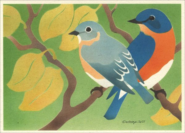 NC1025 Eastern Bluebirds Note Card