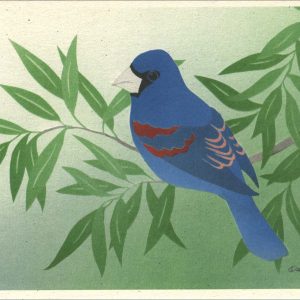 NC1028 Blue Grosbeak Notecards