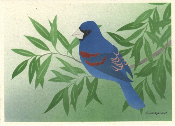 NC1028 Blue Grosbeak Notecards