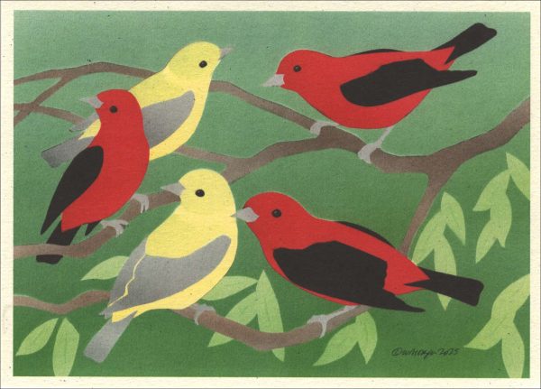 NC1029 Scarlet Tanagers Notecards
