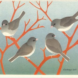 NC1030 Dark-Eye Juncos Notecards