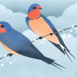 HC1031 Barn Swallows Holiday Card Temporarily Out of Stock