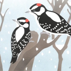 HC1032 Downy Woodpeckers Holiday Card