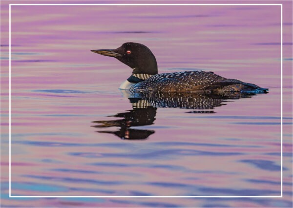 HC3026 LOON LAKE HOLIDAY CARDS