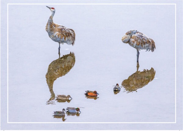 HC3027 HOLIDAY GATHERING HOLIDAY CARD