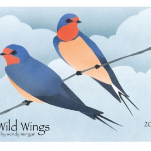 CA27M Wild Wings Calendar